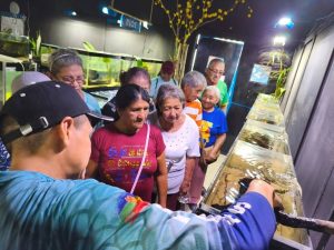 photo_5037634925112265694_y