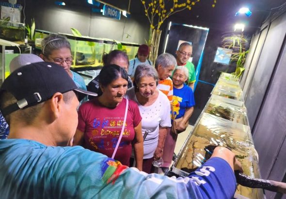 photo_5037634925112265694_y